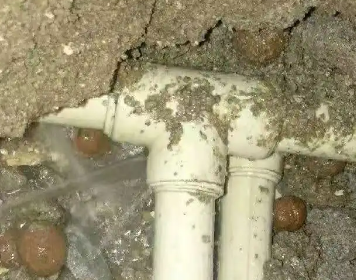 呼玛测漏水多少钱