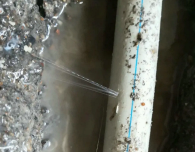 呼玛测漏水哪家好