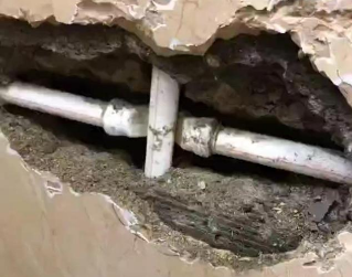 呼玛测漏水哪家好