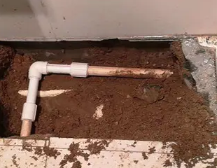 呼玛测漏水哪家好