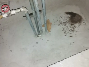 呼玛卫生间测漏水价格明细