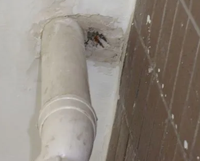 呼玛漏水检测哪家好